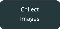 Collect Images