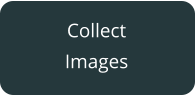 Collect Images